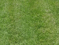 Grama esmeralda preço m2 df